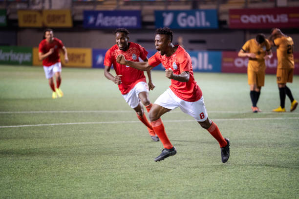 林加德在租 林加德在租