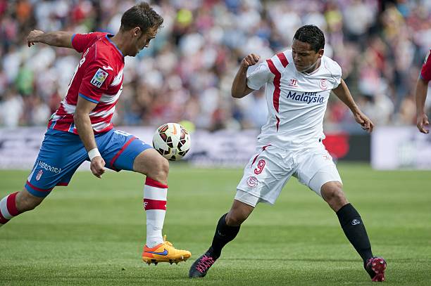 的职业生涯 的职业生涯