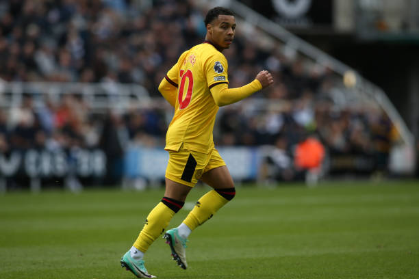 球员又尚未 球员又尚未